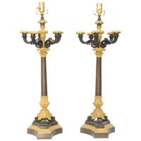 Pair of 19th Century French Bronze Candelabra Lamps by French